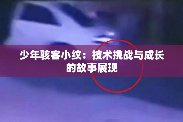 少年骇客小纹：技术挑战与成长的故事展现