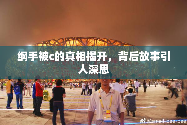 纲手被c的真相揭开，背后故事引人深思
