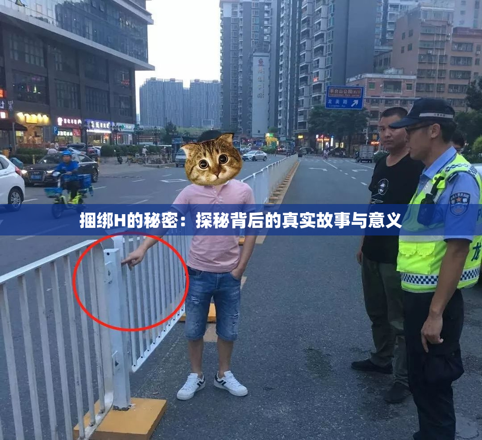 捆绑H的秘密：探秘背后的真实故事与意义