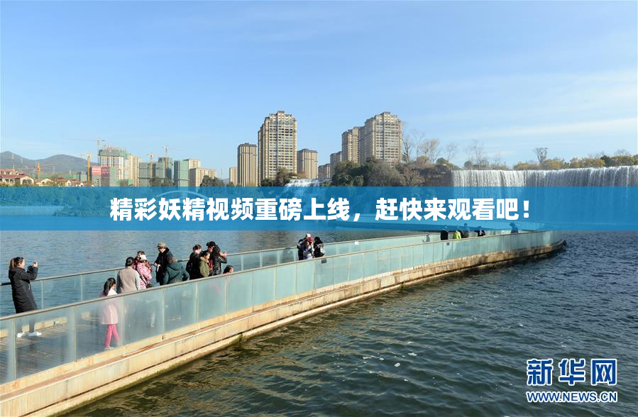 精彩妖精视频重磅上线，赶快来观看吧！