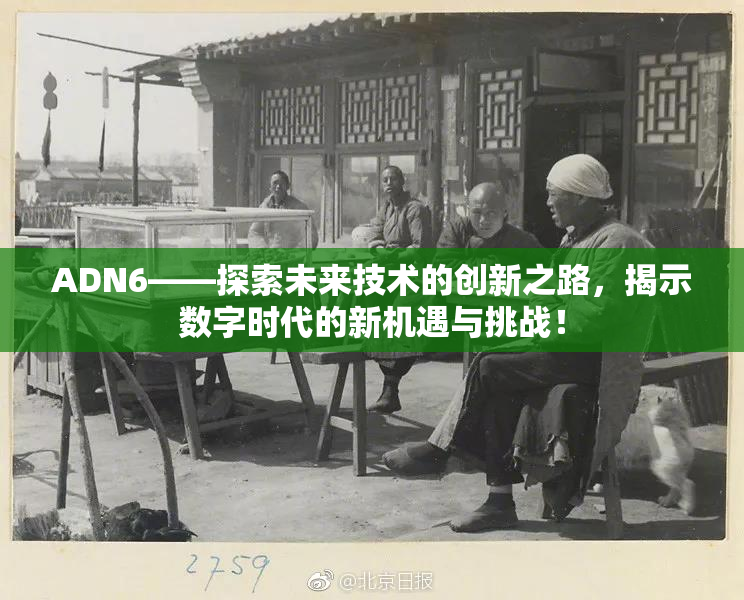 ADN6——探索未来技术的创新之路，揭示数字时代的新机遇与挑战！