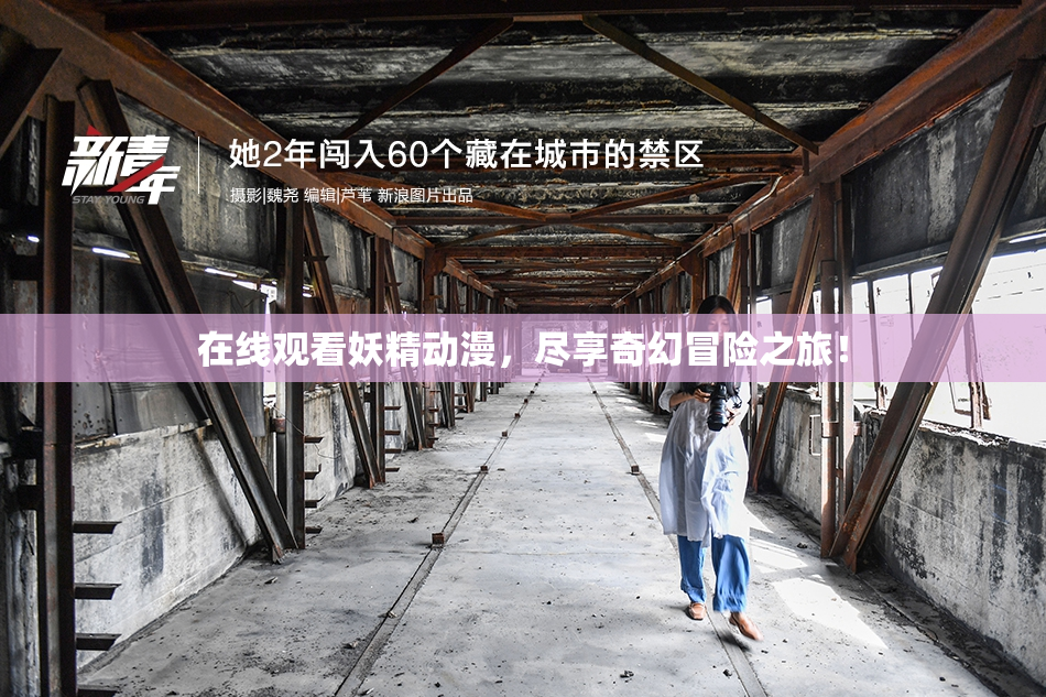 在线观看妖精动漫，尽享奇幻冒险之旅！