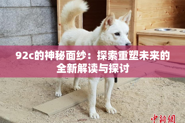 92c的神秘面纱：探索重塑未来的全新解读与探讨