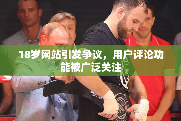 18岁网站引发争议，用户评论功能被广泛关注