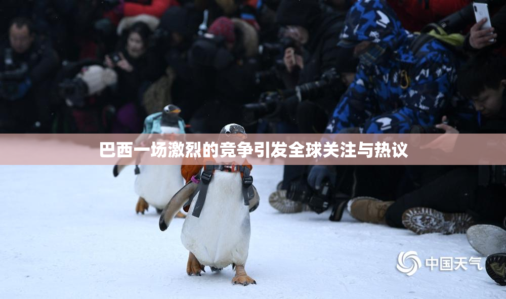 巴西一场激烈的竞争引发全球关注与热议