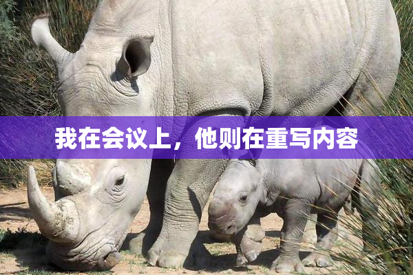 我在会议上，他则在重写内容