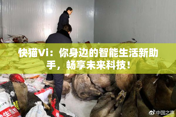 快猫Vi：你身边的智能生活新助手，畅享未来科技！