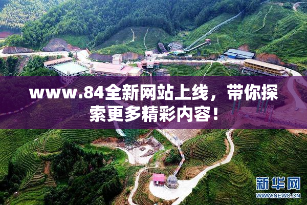 www.84全新网站上线，带你探索更多精彩内容！