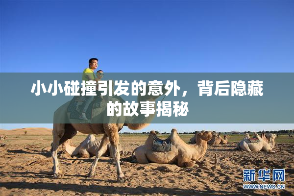 小小碰撞引发的意外，背后隐藏的故事揭秘