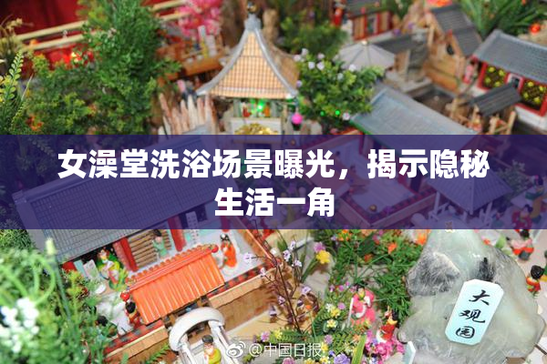 女澡堂洗浴场景曝光，揭示隐秘生活一角