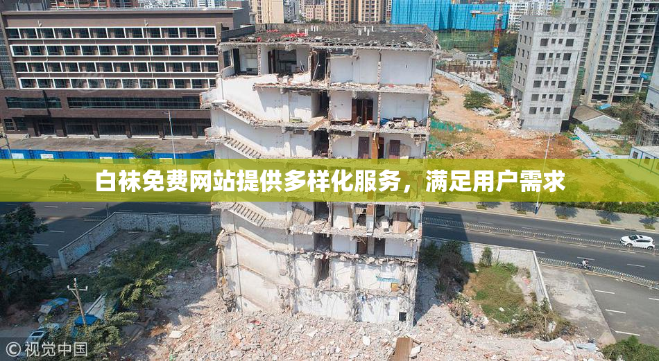白袜免费网站提供多样化服务，满足用户需求