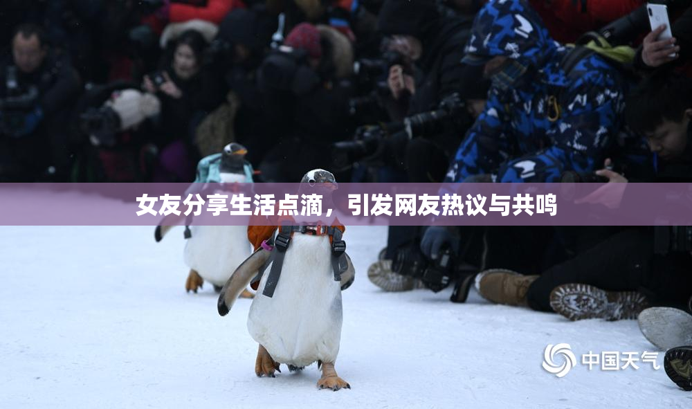 女友分享生活点滴，引发网友热议与共鸣