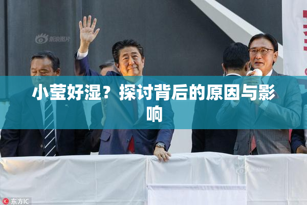 小莹好湿？探讨背后的原因与影响