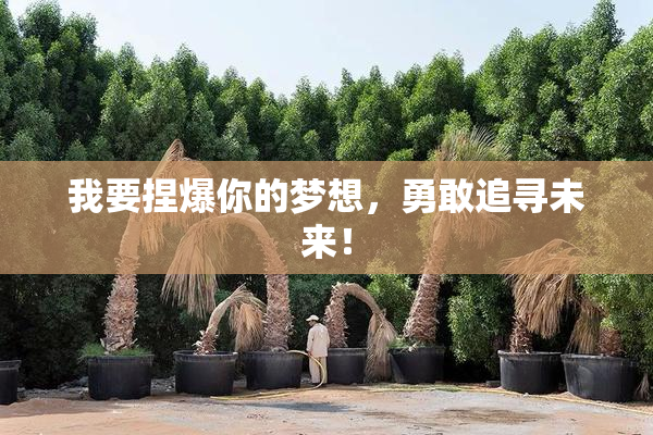 我要捏爆你的梦想，勇敢追寻未来！