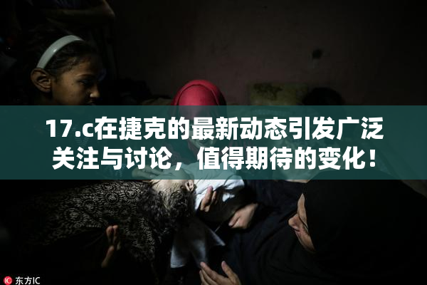 17.c在捷克的最新动态引发广泛关注与讨论，值得期待的变化！