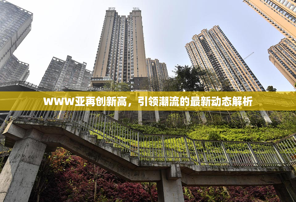 WWW亚再创新高，引领潮流的最新动态解析