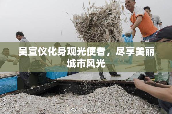 吴宣仪化身观光使者，尽享美丽城市风光