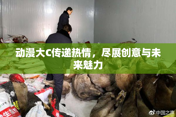 动漫大C传递热情，尽展创意与未来魅力