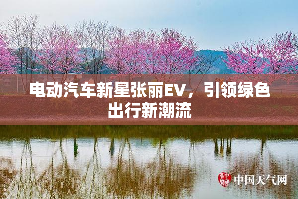 电动汽车新星张丽EV，引领绿色出行新潮流