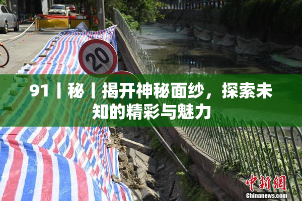 91丨秘丨揭开神秘面纱，探索未知的精彩与魅力