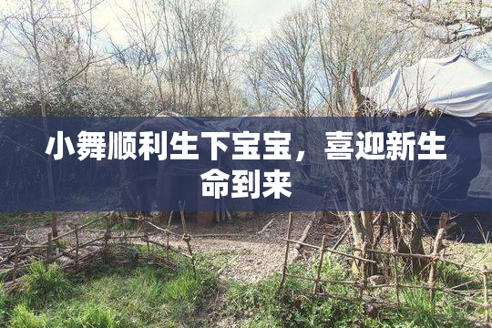 小舞顺利生下宝宝，喜迎新生命到来