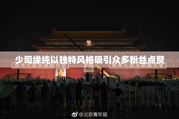 少司缘纯以独特风格吸引众多粉丝点赞
