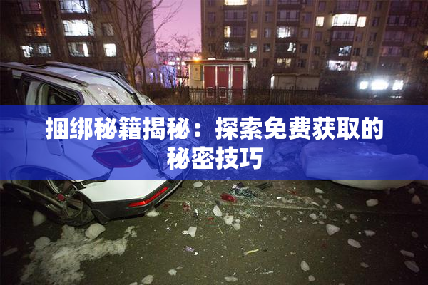捆绑秘籍揭秘：探索免费获取的秘密技巧