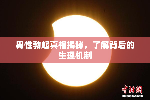 男性勃起真相揭秘，了解背后的生理机制