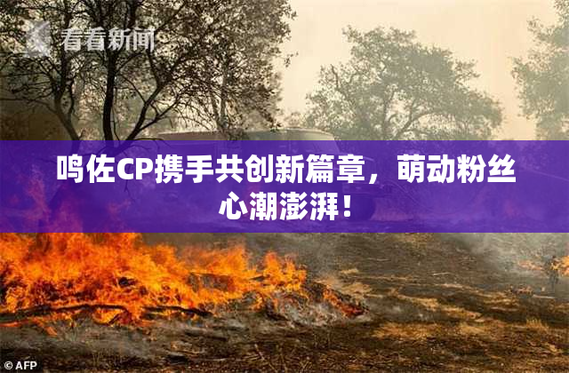 鸣佐CP携手共创新篇章，萌动粉丝心潮澎湃！