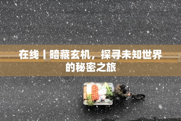 在线丨暗藏玄机，探寻未知世界的秘密之旅