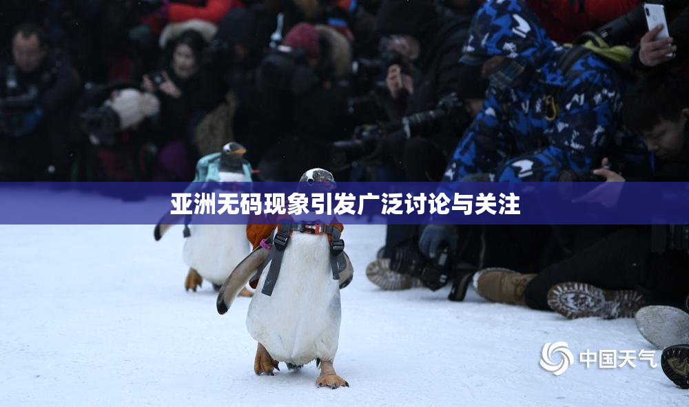 亚洲无码现象引发广泛讨论与关注