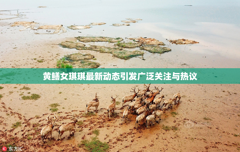 黄鳝女琪琪最新动态引发广泛关注与热议