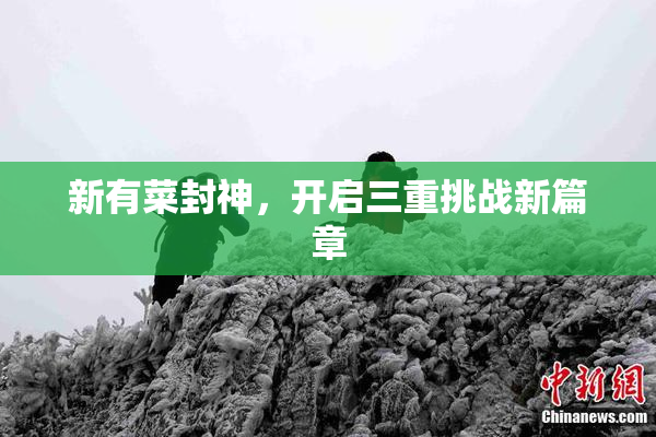 新有菜封神，开启三重挑战新篇章