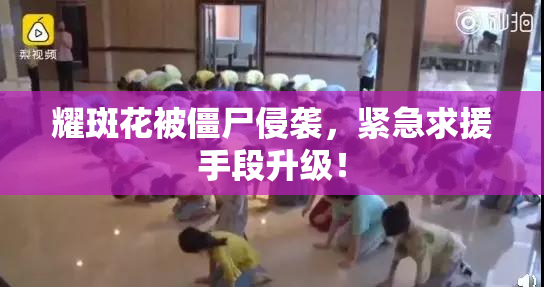 耀斑花被僵尸侵袭，紧急求援手段升级！