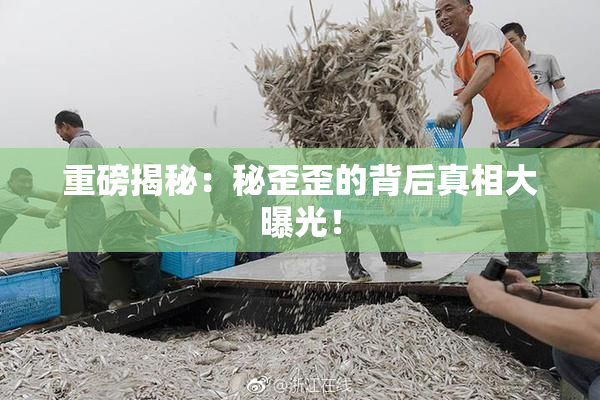 重磅揭秘：秘歪歪的背后真相大曝光！