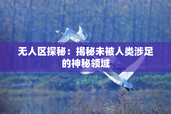 无人区探秘：揭秘未被人类涉足的神秘领域