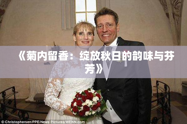 《菊内留香：绽放秋日的韵味与芬芳》