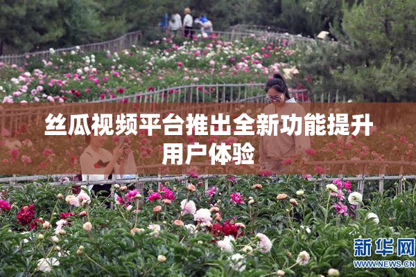 丝瓜视频平台推出全新功能提升用户体验