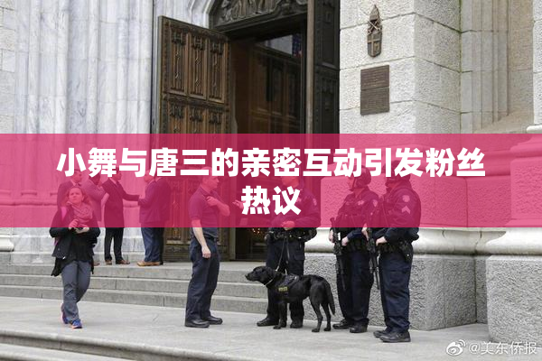 小舞与唐三的亲密互动引发粉丝热议