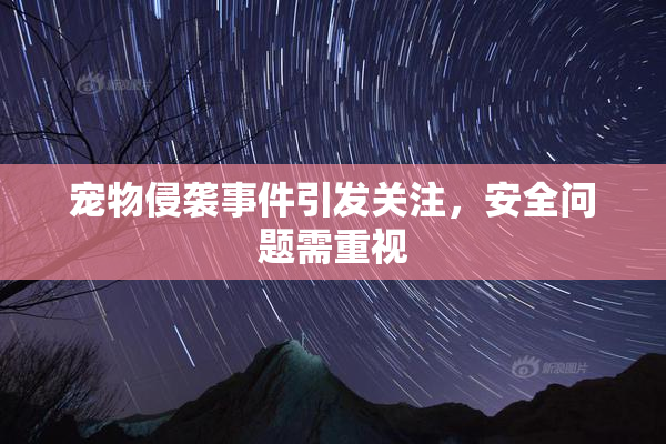 宠物侵袭事件引发关注，安全问题需重视