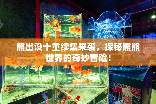 熊出没十重续集来袭，探秘熊熊世界的奇妙冒险！