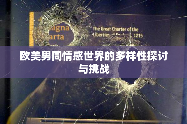欧美男同情感世界的多样性探讨与挑战