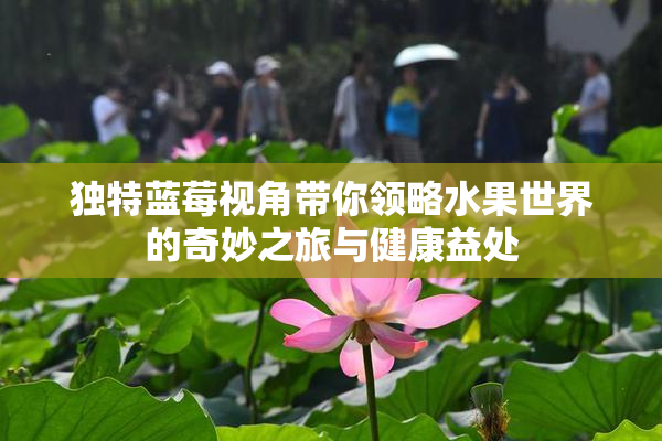 独特蓝莓视角带你领略水果世界的奇妙之旅与健康益处