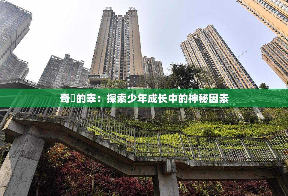 奇犽的睾：探索少年成长中的神秘因素