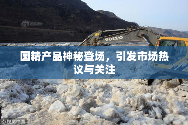 国精产品神秘登场，引发市场热议与关注
