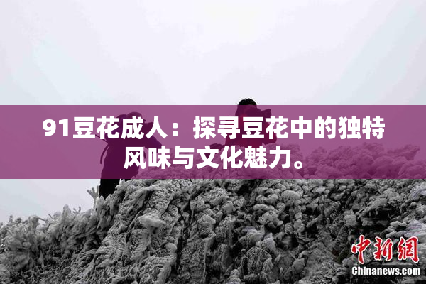 91豆花成人：探寻豆花中的独特风味与文化魅力。