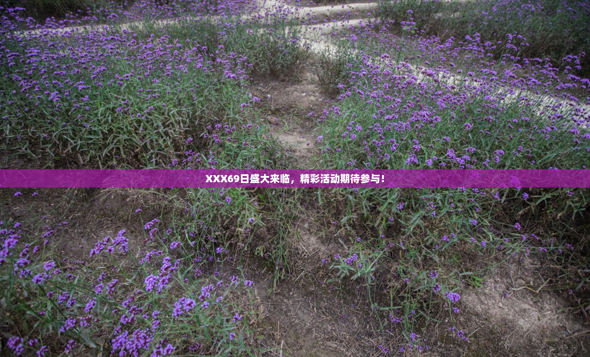 XXX69日盛大来临，精彩活动期待参与！