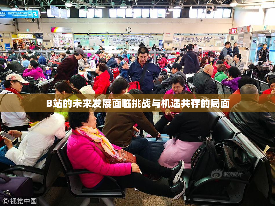 B站的未来发展面临挑战与机遇共存的局面