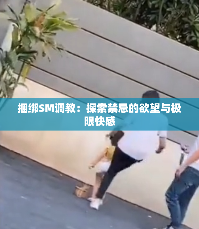 捆绑SM调教：探索禁忌的欲望与极限快感