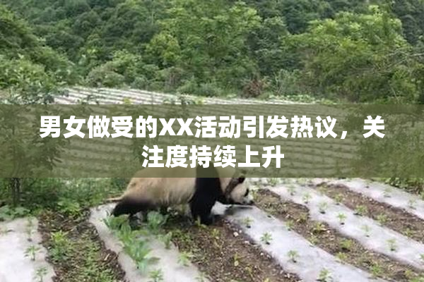 男女做受的XX活动引发热议，关注度持续上升